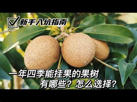 適合北部種植的果樹|108種台灣北部平地適合種植的果樹の目錄圖鑑及栽培管理指南。